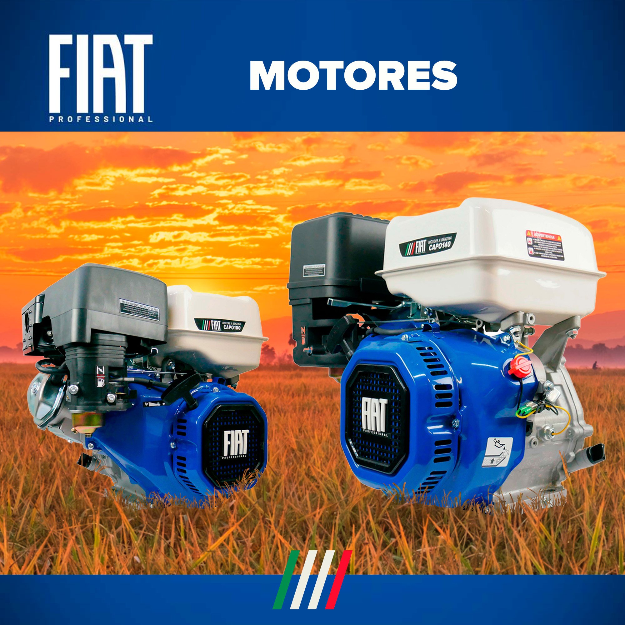 motores